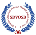 Service-Disabled Veteran-Owned Business (SDVOSB)