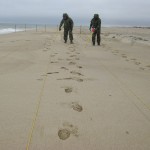 locating UXO in beach sand
