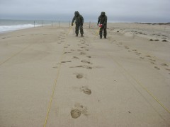 locating UXO in beach sand