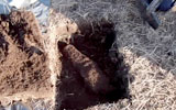 locating & removing buried UXO in Nantucket