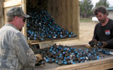 sorting grenades as part of military range clearance